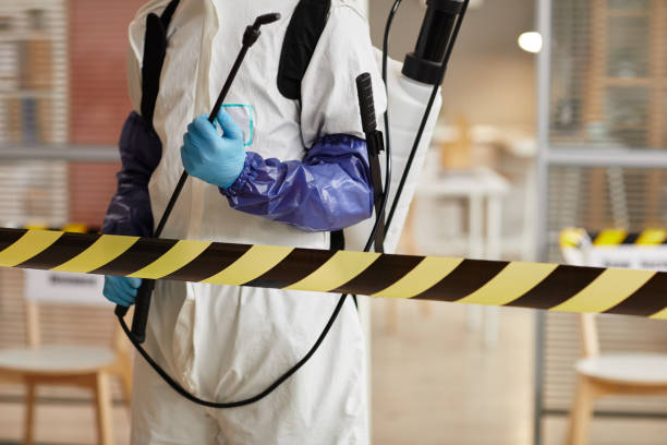 Professional Blood Cleanup technician working in Farmersville, TX